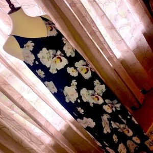 NWT Elianie Rose Maxi Dress Size 4 Buy 1 Get 1
